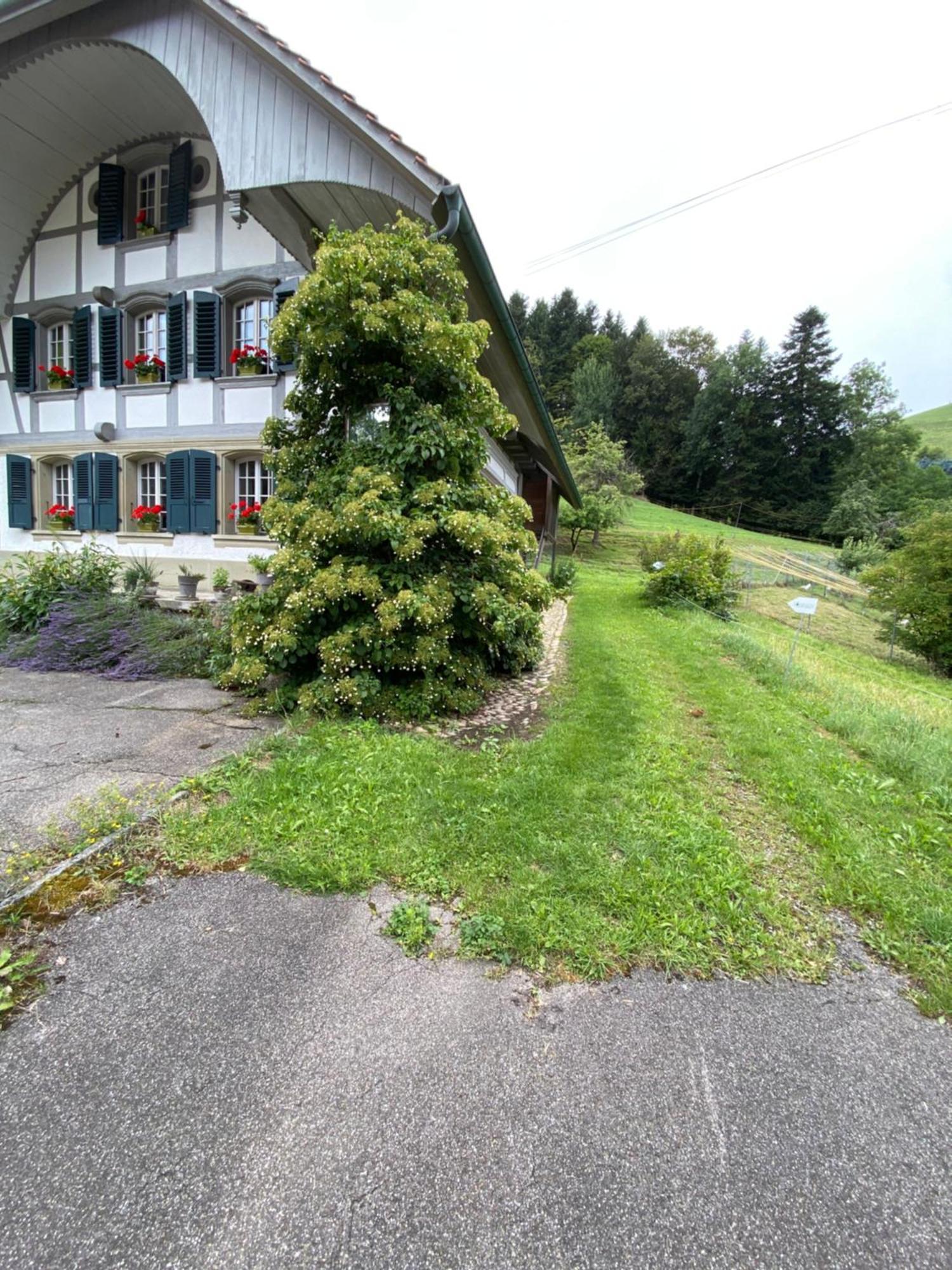 B&B tannen124 Oberburg Buitenkant foto