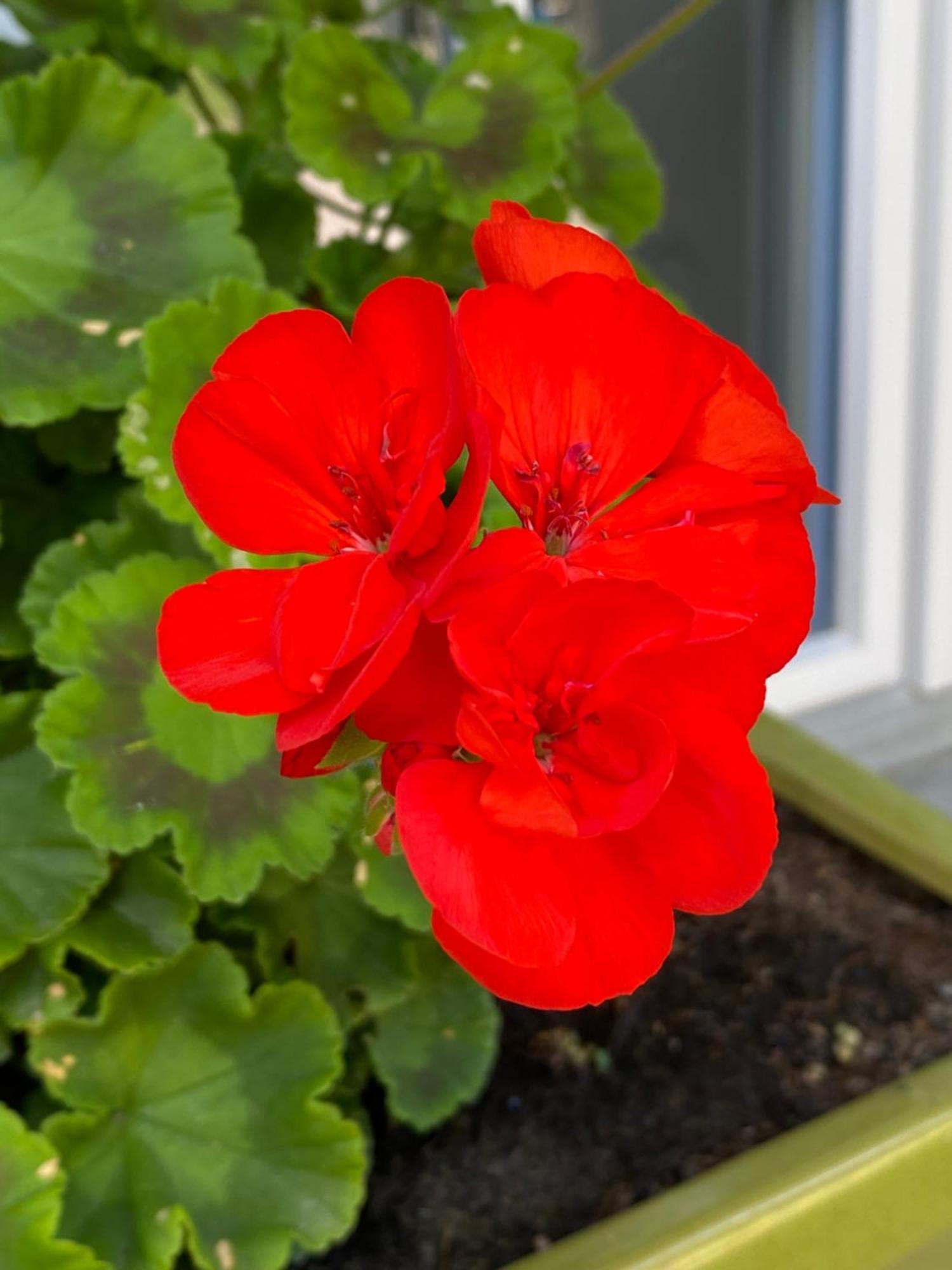 B&B tannen124 Oberburg Buitenkant foto