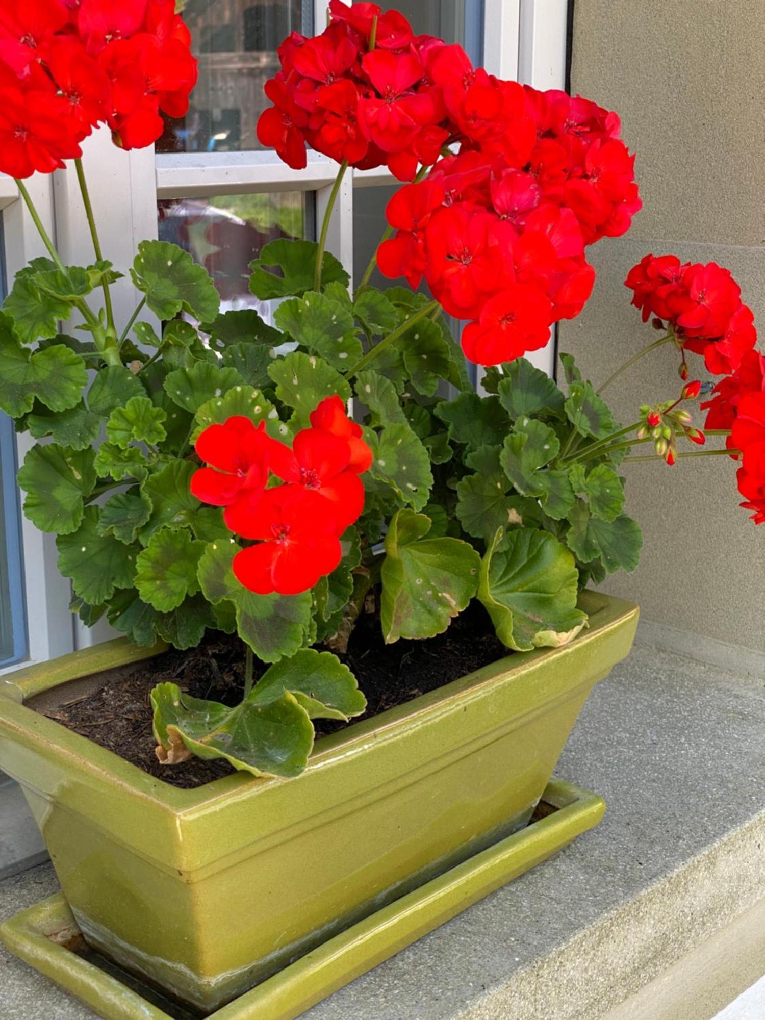 B&B tannen124 Oberburg Buitenkant foto