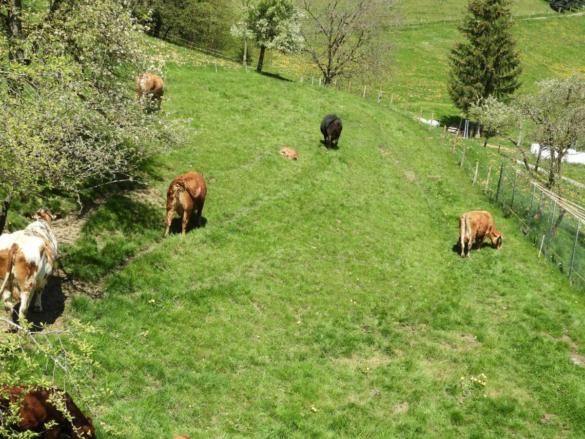 B&B tannen124 Oberburg Buitenkant foto